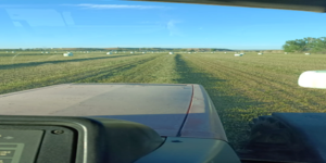 Paquetes de alfalfa de alta calidad